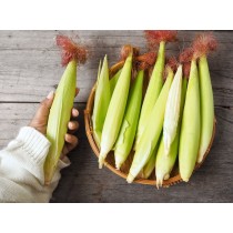 無毒栽種蔬菜 (產地直送) 紅鬚玉米筍 8斤+免運費