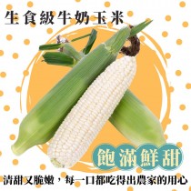 【果農直送】生食級牛奶水果玉米 (果重5斤) 免運